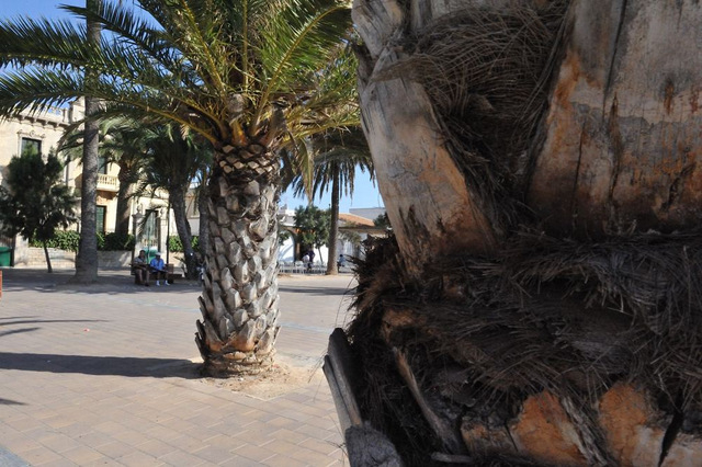 San Javier beaches: Playa El Pescador