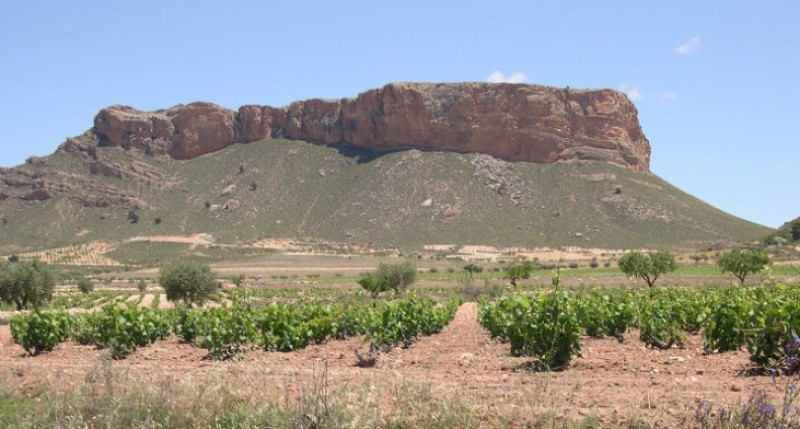 Walking in Sierra de la Cingla in Jumilla