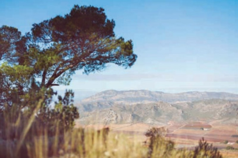 Walking in the Sierra del Carche in Jumilla