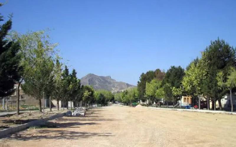 Outlying villages of Jumilla, Fuente del Pino