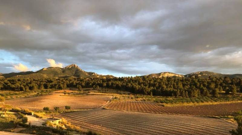 Outlying districts of Jumilla, La Raja