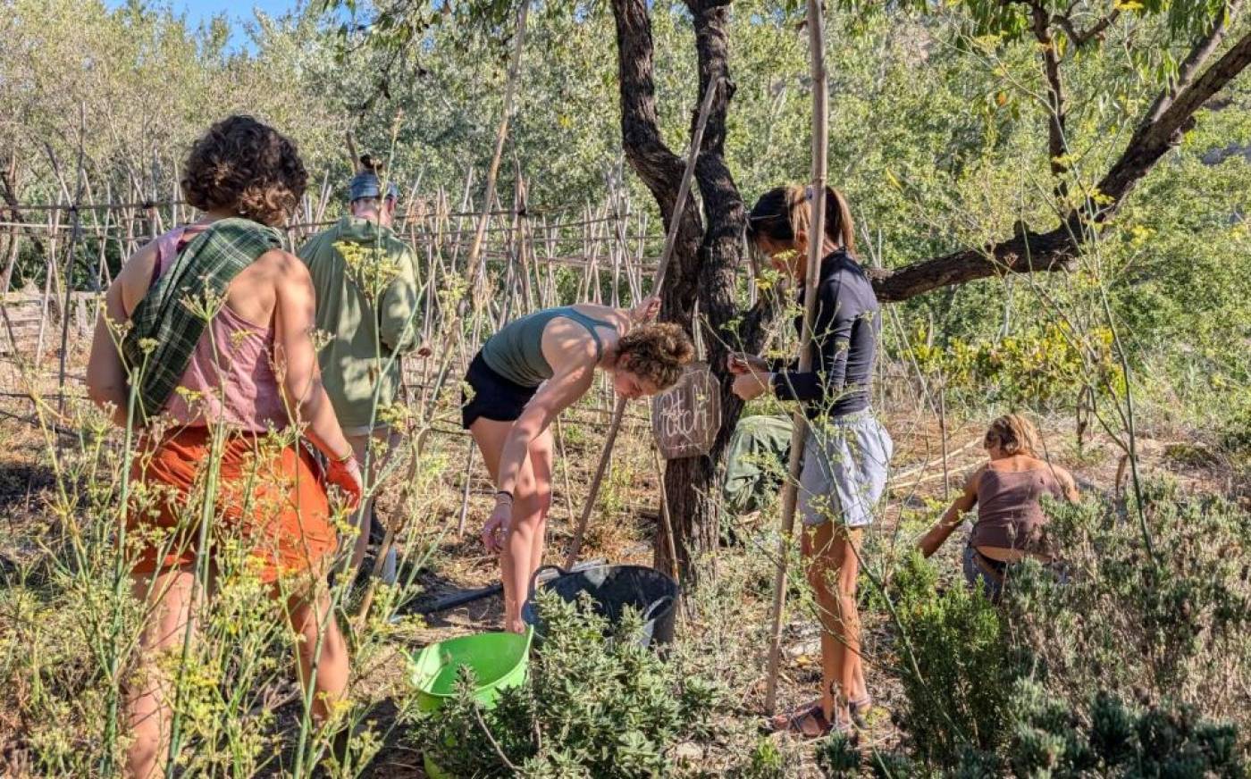 Sunseed Desert Technology ecofriendly project and community in Almería