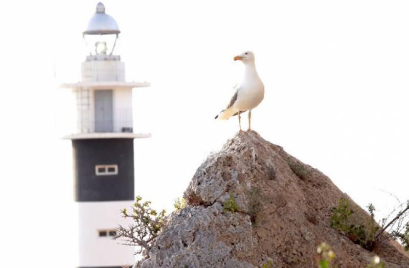 Follow the light: a tour of the lighthouses of the Costa Cálida!