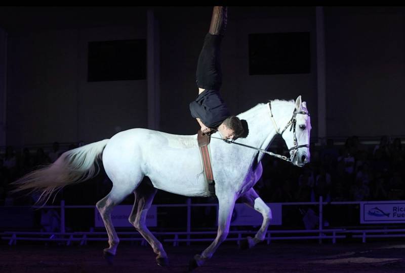 April 3 to 6 Equimur horse show in Torre Pacheco