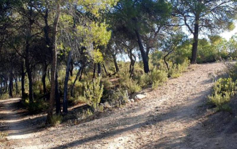 Alhama presents new hiking route from the town centre to the snow wells of Sierra Espuña