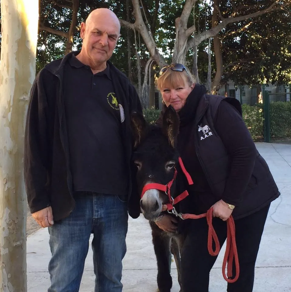 Help hooves and heal hearts... volunteer with rescued donkeys in Murcia