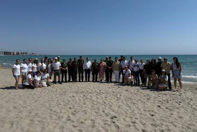 Thirty baby loggerhead turtles return to the sea at La Manga