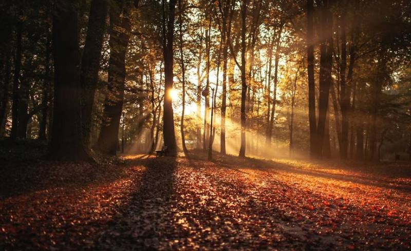 Spain braces for another scorching autumn as temperatures soar above normal