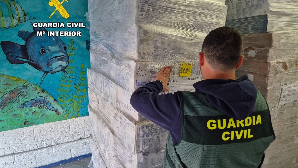 Massive haul of expired seafood seized in Palma amid serious food safety breach