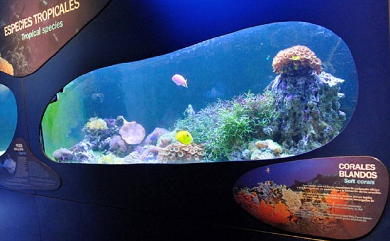 What’s on in Aguilas January 2026