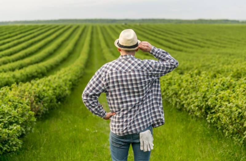 Spain to hand over 17,000 rural properties to aspiring young farmers