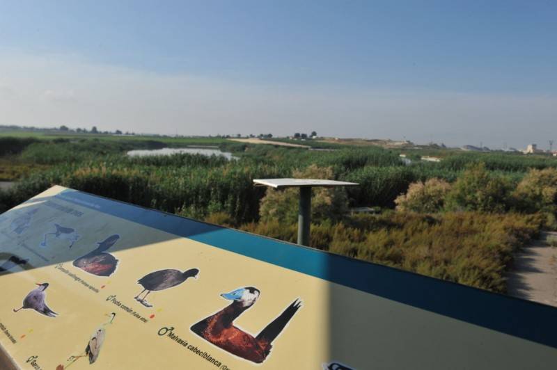 April 19 Free guided visit to see the birdlife in the Lagunas de Campotéjar