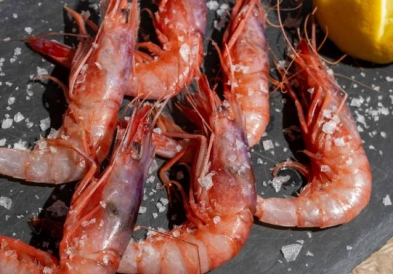 April 17 to 26 Red prawn festival in Águilas!