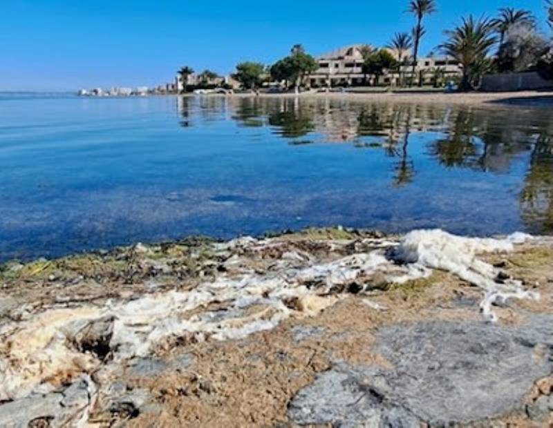 Spanish News Today Editors Roundup Weekly Bulletin May 8