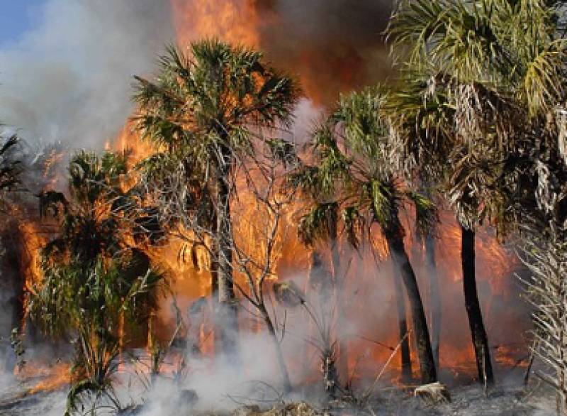 Spain's wildfire crisis is three times worse than this time last year, and the heat has barely begun