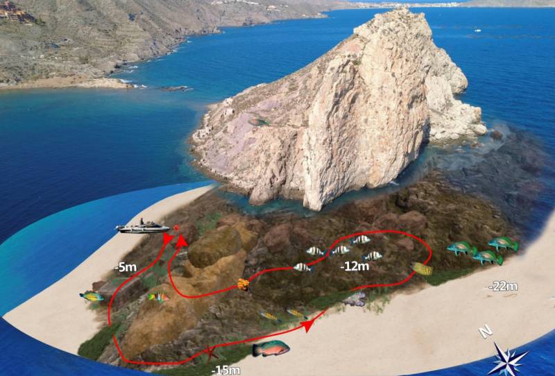 La Cresta, Isla del Fraile: An Águilas dive site of rocky mazes and resident groupers