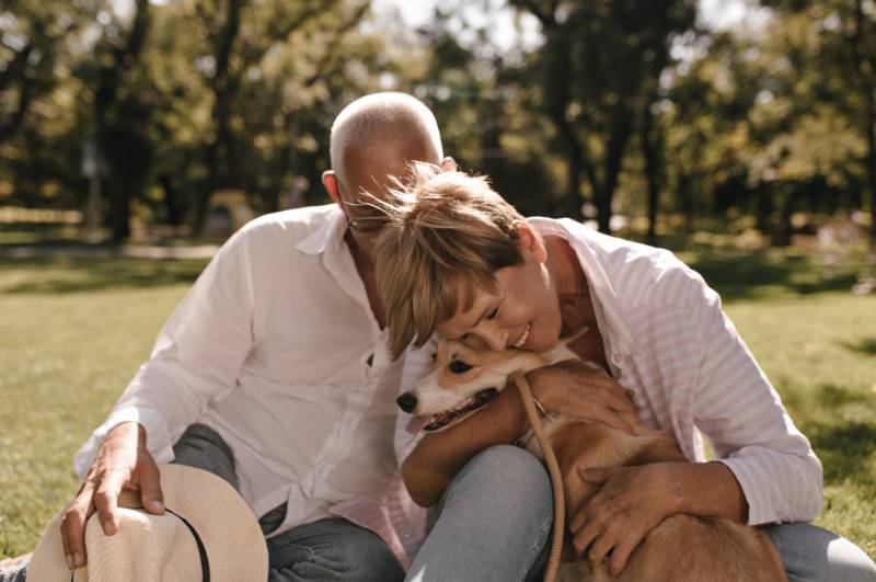 Arrange who will look after your pets when you're no longer able to with Thy Will Be Done