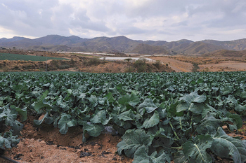 Outlying districts of Mazarron, Gañuelas