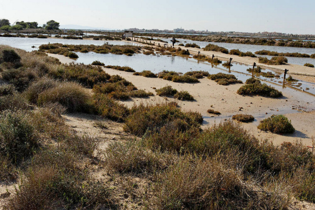 San Pedro del Pinatar beaches: Playa de las Salinas