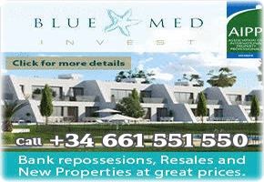 BlueMed Invest 1200 Banner 